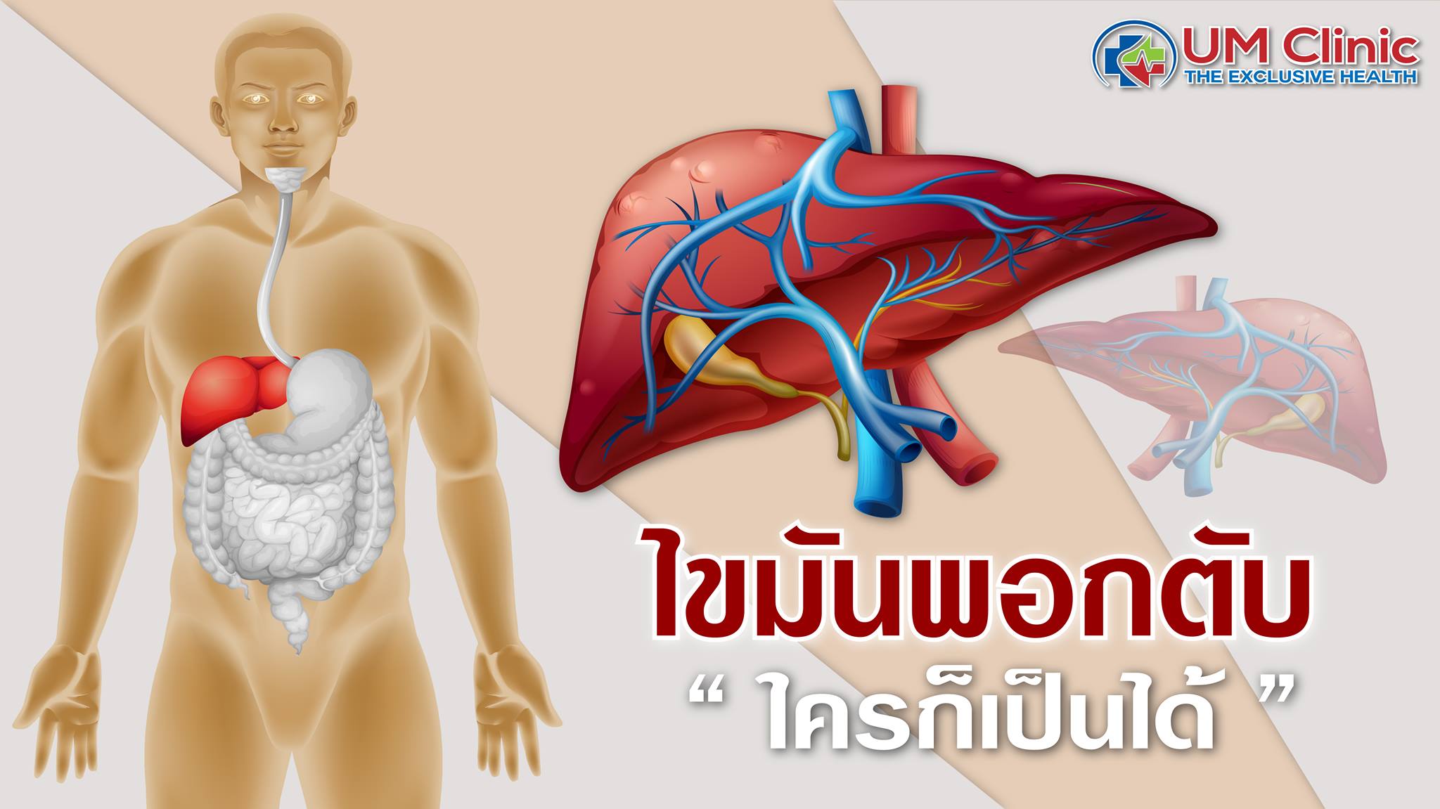 ล้างสารพิษในระดับเซล