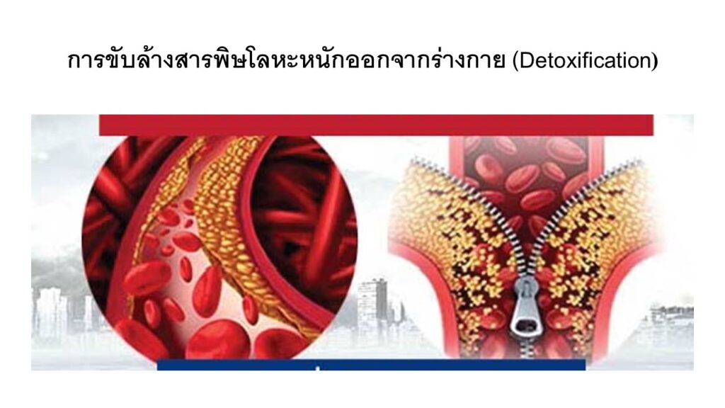 ล้างสารพิษในระดัลเซล