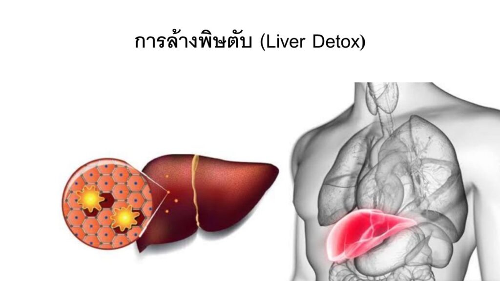 ล้างสารพิษในระดับเซล