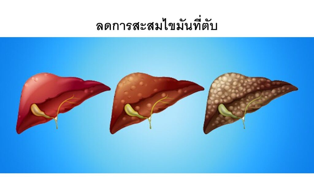 ล้างสารพิษในระดับเซล
